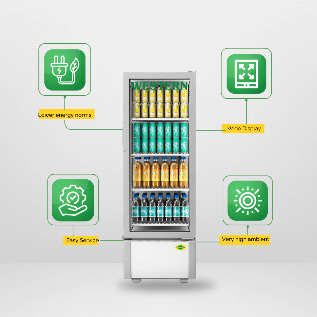 Western Single Door Visi Cooler (SRC280HC-GL)