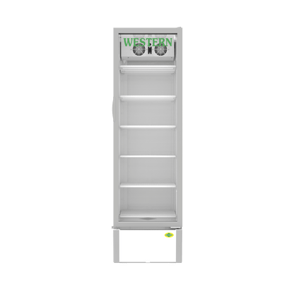 Western Single Door Visi Cooler (SRC501HC-GL)
