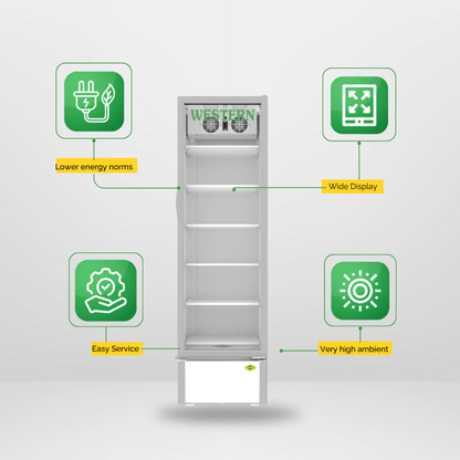 Western Single Door Visi Cooler (SRC501HC-GL)