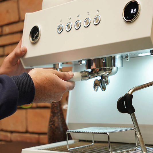 Budan Maestro / 1GR Standard Espresso Machine